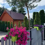 Wczasowe Papaya Kolobrzeg